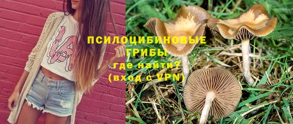 сатива Богданович