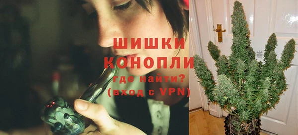 сатива Богданович