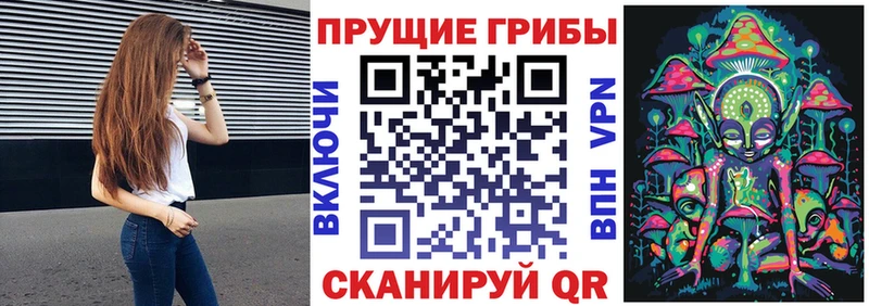 Галлюциногенные грибы мицелий  где найти наркотики  Печора 